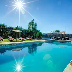 Sargantana Negra Villa Binibeca
